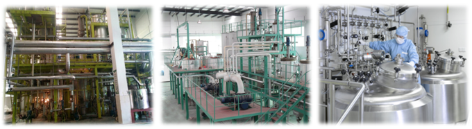 Naturkost-Emulsionsmittel - Verbundbrot-Verbesserer - weißes Pulver - GB2760 11