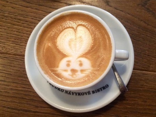 Lebensmittel-Zusatzstoff-destillierter Monoglyzerid-Kaffeeweißer-Bestandteil