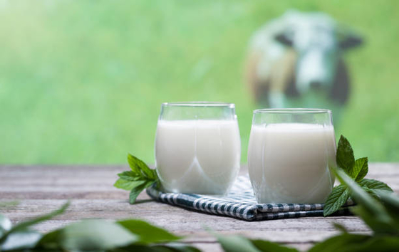 Emulsionsmittel und Stabilisatoren des Lebensmittel-Zusatzstoff-DMG95 verhindern mögliche Schichtung in der Milch