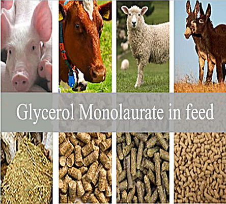 Zufuhr-Zusätze: Glyzerin Monolaurate GML80 pulverisieren für Tier